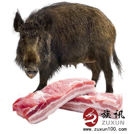 东北野猪肉