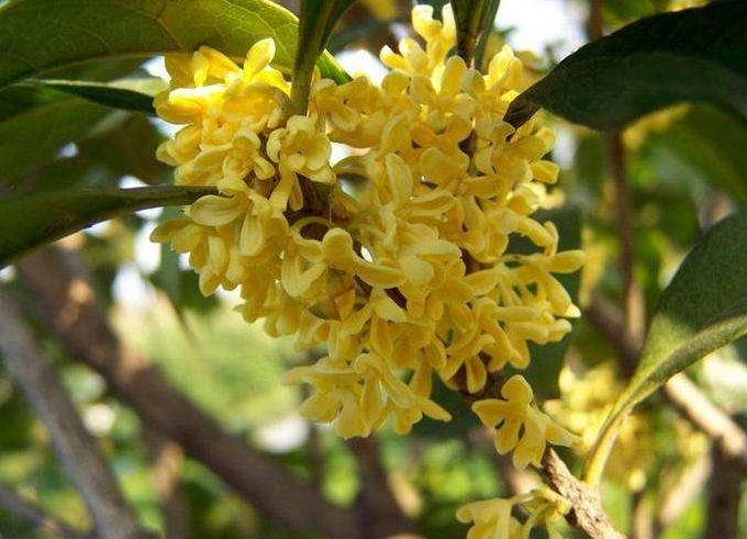 1550218092103155.png 1.png