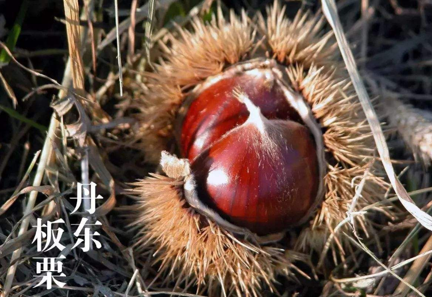 1552638452671295.png 1.png