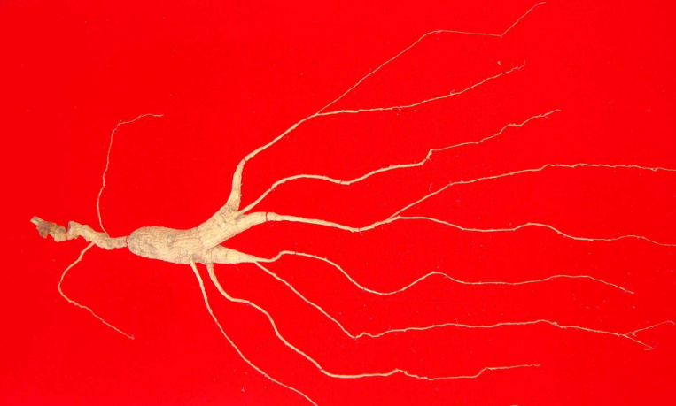 1552639198984007.png 1.png