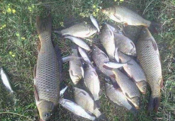 1552639302163477.png 1.png