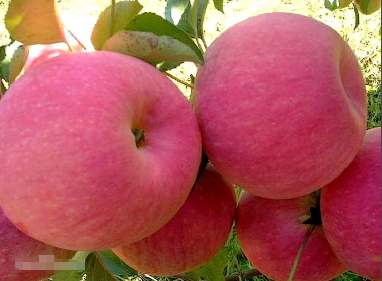 1553675127102458.png 1.png