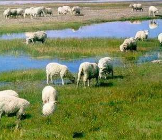 1554086136642937.png 1.png