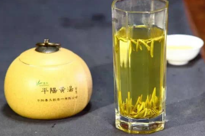 平阳黄汤茶