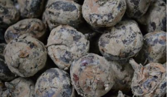 1561940053548612.png 1.png