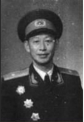 杨树根